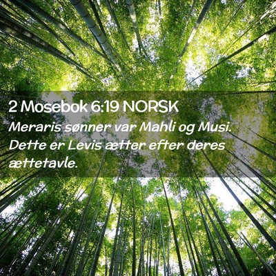 Picture 02 - 2 Mosebok 6:19 NORSK - Meraris sønner var Mahli og Musi. Dette er Levis - Bible Verse Picture