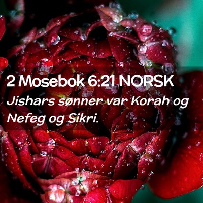 Picture 02 - 2 Mosebok 6:21 NORSK - Jishars sønner var Korah og Nefeg og - Bible Verse Picture