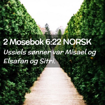 Picture 02 - 2 Mosebok 6:22 NORSK - Ussiels sønner var Misael og Elsafan og - Bible Verse Picture