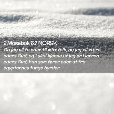Picture 02 - 2 Mosebok 6:7 NORSK - Og jeg vil ta eder til mitt folk, og jeg vil - Bible Verse Picture