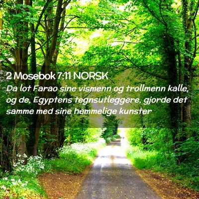 Picture 02 - 2 Mosebok 7:11 NORSK - Da lot Farao sine vismenn og trollmenn kalle, og - Bible Verse Picture