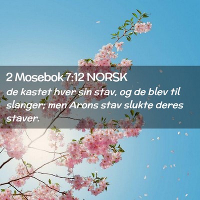 Picture 02 - 2 Mosebok 7:12 NORSK - de kastet hver sin stav, og de blev til slanger; - Bible Verse Picture