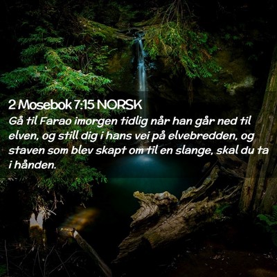 Picture 02 - 2 Mosebok 7:15 NORSK - Gå til Farao imorgen tidlig når han går ned - Bible Verse Picture