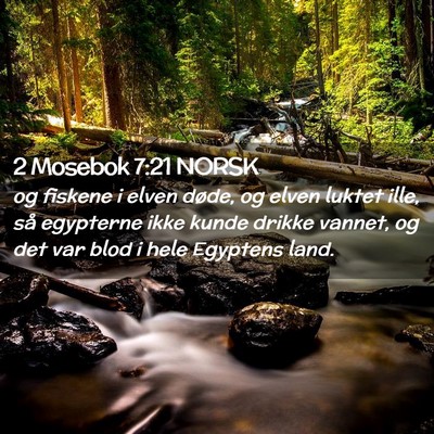 Picture 02 - 2 Mosebok 7:21 NORSK - og fiskene i elven døde, og elven luktet ille, - Bible Verse Picture