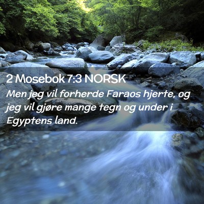 Picture 02 - 2 Mosebok 7:3 NORSK - Men jeg vil forherde Faraos hjerte, og jeg vil - Bible Verse Picture