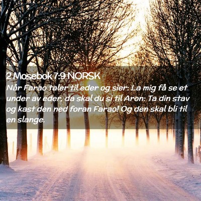 Picture 02 - 2 Mosebok 7:9 NORSK - Når Farao taler til eder og sier: La mig få se - Bible Verse Picture