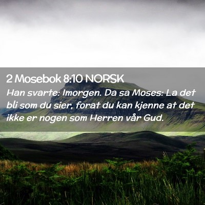 Picture 02 - 2 Mosebok 8:10 NORSK - Han svarte: Imorgen. Da sa Moses: La det bli som - Bible Verse Picture