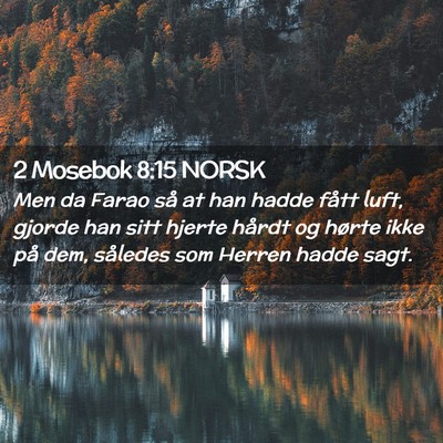 Picture 02 - 2 Mosebok 8:15 NORSK - Men da Farao så at han hadde fått luft, gjorde - Bible Verse Picture