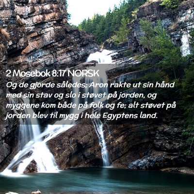 Picture 02 - 2 Mosebok 8:17 NORSK - Og de gjorde således; Aron rakte ut sin hånd - Bible Verse Picture