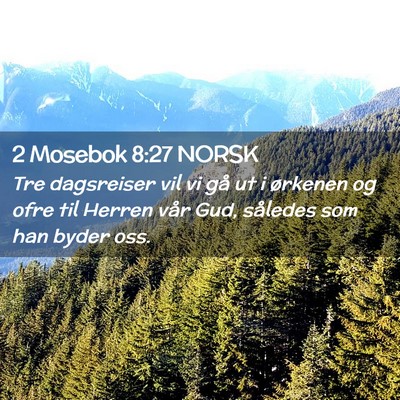 Picture 02 - 2 Mosebok 8:27 NORSK - Tre dagsreiser vil vi gå ut i ørkenen og ofre - Bible Verse Picture
