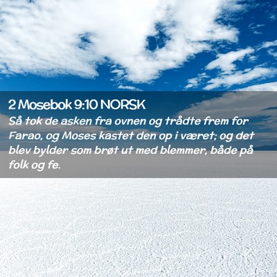 Picture 02 - 2 Mosebok 9:10 NORSK - Så tok de asken fra ovnen og trådte frem for - Bible Verse Picture