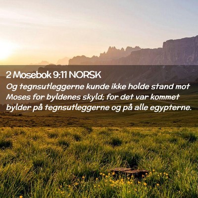 Picture 02 - 2 Mosebok 9:11 NORSK - Og tegnsutleggerne kunde ikke holde stand mot - Bible Verse Picture