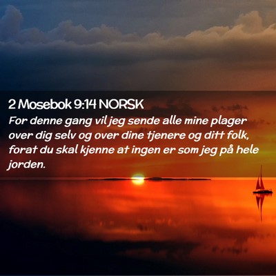 Picture 02 - 2 Mosebok 9:14 NORSK - For denne gang vil jeg sende alle mine plager - Bible Verse Picture