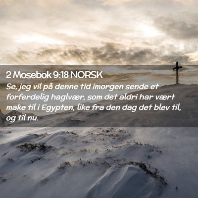 Picture 02 - 2 Mosebok 9:18 NORSK - Se, jeg vil på denne tid imorgen sende et - Bible Verse Picture