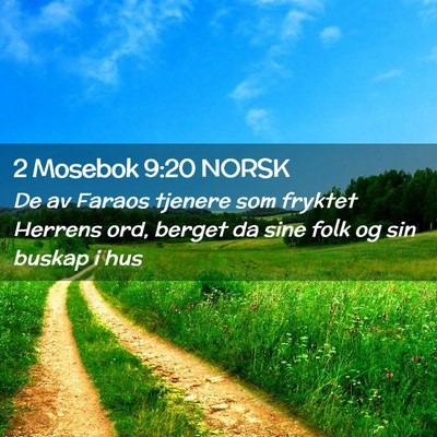 Picture 02 - 2 Mosebok 9:20 NORSK - De av Faraos tjenere som fryktet Herrens ord, - Bible Verse Picture