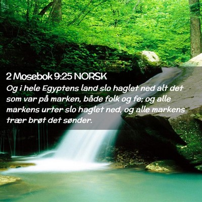 Picture 02 - 2 Mosebok 9:25 NORSK - Og i hele Egyptens land slo haglet ned alt det - Bible Verse Picture