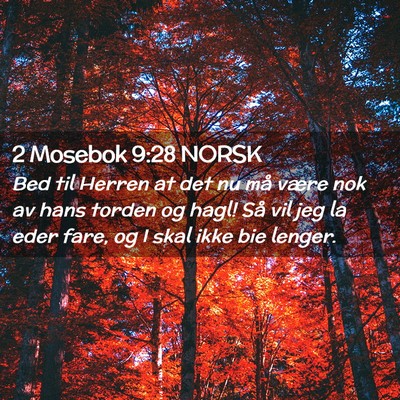 Picture 02 - 2 Mosebok 9:28 NORSK - Bed til Herren at det nu må være nok av hans - Bible Verse Picture