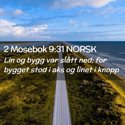 Picture 02 - 2 Mosebok 9:31 NORSK - Lin og bygg var slått ned; for bygget stod i aks - Bible Verse Picture