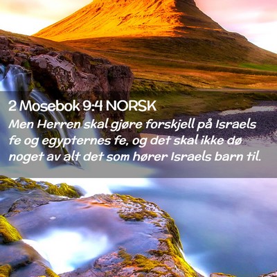 Picture 02 - 2 Mosebok 9:4 NORSK - Men Herren skal gjøre forskjell på Israels fe - Bible Verse Picture
