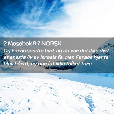 Picture 02 - 2 Mosebok 9:7 NORSK - Og Farao sendte bud, og da var det ikke død et - Bible Verse Picture
