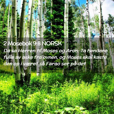 Picture 02 - 2 Mosebok 9:8 NORSK - Da sa Herren til Moses og Aron: Ta hendene fulle - Bible Verse Picture