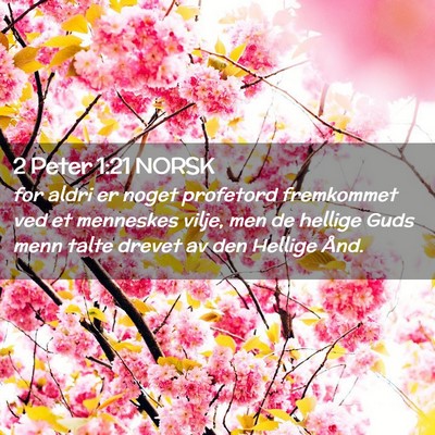 Picture 02 - 2 Peter 1:21 NORSK - for aldri er noget profetord fremkommet ved et - Bible Verse Picture