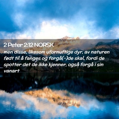 Picture 02 - 2 Peter 2:12 NORSK - men disse, likesom ufornuftige dyr, av naturen - Bible Verse Picture