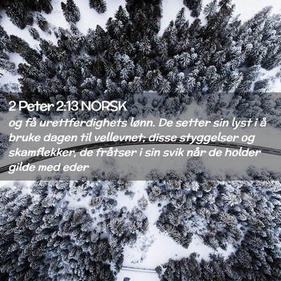 Picture 02 - 2 Peter 2:13 NORSK - og få urettferdighets lønn. De setter sin lyst - Bible Verse Picture