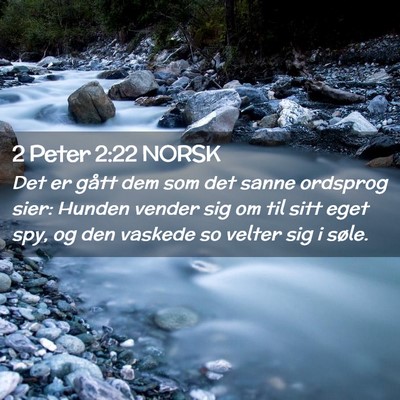 Picture 02 - 2 Peter 2:22 NORSK - Det er gått dem som det sanne ordsprog sier: - Bible Verse Picture