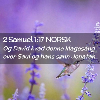 Picture 02 - 2 Samuel 1:17 NORSK - Og David kvad denne klagesang over Saul og hans - Bible Verse Picture