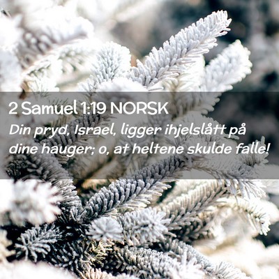 Picture 02 - 2 Samuel 1:19 NORSK - Din pryd, Israel, ligger ihjelslått på dine - Bible Verse Picture