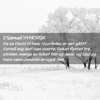 Picture 02 - 2 Samuel 1:4 NORSK - Da sa David til ham: Hvorledes er det gått? - Bible Verse Picture