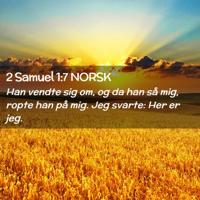 Picture 02 - 2 Samuel 1:7 NORSK - Han vendte sig om, og da han så mig, ropte han - Bible Verse Picture