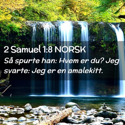 Picture 02 - 2 Samuel 1:8 NORSK - Så spurte han: Hvem er du? Jeg svarte: Jeg er en - Bible Verse Picture