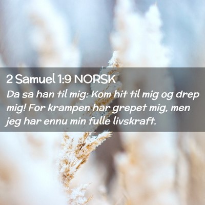 Picture 02 - 2 Samuel 1:9 NORSK - Da sa han til mig: Kom hit til mig og drep mig! - Bible Verse Picture