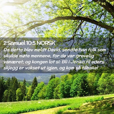 Picture 02 - 2 Samuel 10:5 NORSK - Da dette blev meldt David, sendte han folk som - Bible Verse Picture