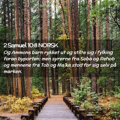 Picture 02 - 2 Samuel 10:8 NORSK - Og Ammons barn rykket ut og stilte sig i fylking - Bible Verse Picture