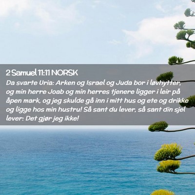 Picture 02 - 2 Samuel 11:11 NORSK - Da svarte Uria: Arken og Israel og Juda bor i - Bible Verse Picture