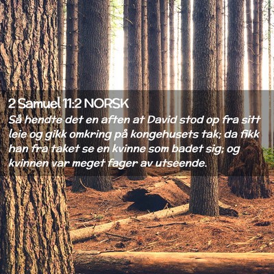 Picture 02 - 2 Samuel 11:2 NORSK - Så hendte det en aften at David stod op fra sitt - Bible Verse Picture