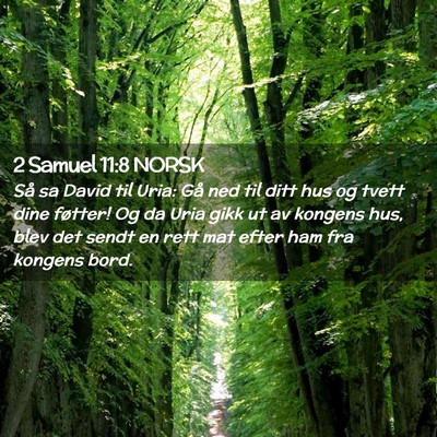 Picture 02 - 2 Samuel 11:8 NORSK - Så sa David til Uria: Gå ned til ditt hus og - Bible Verse Picture