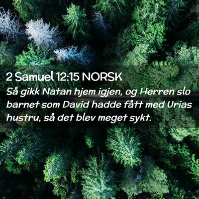 Picture 02 - 2 Samuel 12:15 NORSK - Så gikk Natan hjem igjen, og Herren slo barnet - Bible Verse Picture