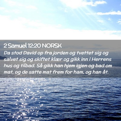 Picture 02 - 2 Samuel 12:20 NORSK - Da stod David op fra jorden og tvettet sig og - Bible Verse Picture