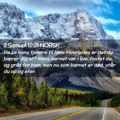 Picture 02 - 2 Samuel 12:21 NORSK - Da sa hans tjenere til ham: Hvorledes er det du - Bible Verse Picture