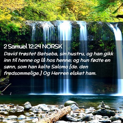 Picture 02 - 2 Samuel 12:24 NORSK - David trøstet Batseba, sin hustru, og han gikk - Bible Verse Picture