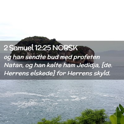 Picture 02 - 2 Samuel 12:25 NORSK - og han sendte bud med profeten Natan, og han - Bible Verse Picture