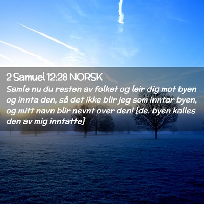 Picture 02 - 2 Samuel 12:28 NORSK - Samle nu du resten av folket og leir dig mot byen - Bible Verse Picture