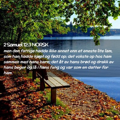 Picture 02 - 2 Samuel 12:3 NORSK - men den fattige hadde ikke annet enn et eneste - Bible Verse Picture