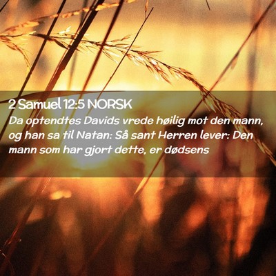 Picture 02 - 2 Samuel 12:5 NORSK - Da optendtes Davids vrede høilig mot den mann, - Bible Verse Picture
