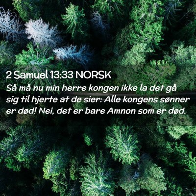 Picture 02 - 2 Samuel 13:33 NORSK - Så må nu min herre kongen ikke la det gå sig - Bible Verse Picture