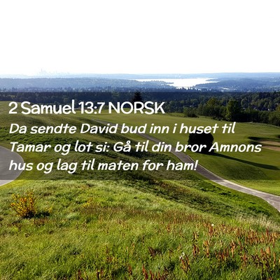 Picture 02 - 2 Samuel 13:7 NORSK - Da sendte David bud inn i huset til Tamar og lot - Bible Verse Picture